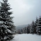 Rhön im Winter