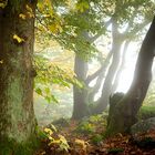 Rhön - Kuppenrhön - Naturpark Hessische Rhön