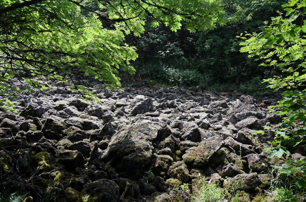 Rhön-Landschaften04