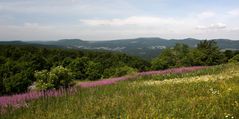 Rhön-Landschaften06