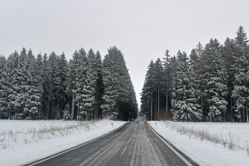 Rhön: Mitten durch die verschneiten Fichten