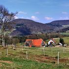 Rhön-Ranch (5)