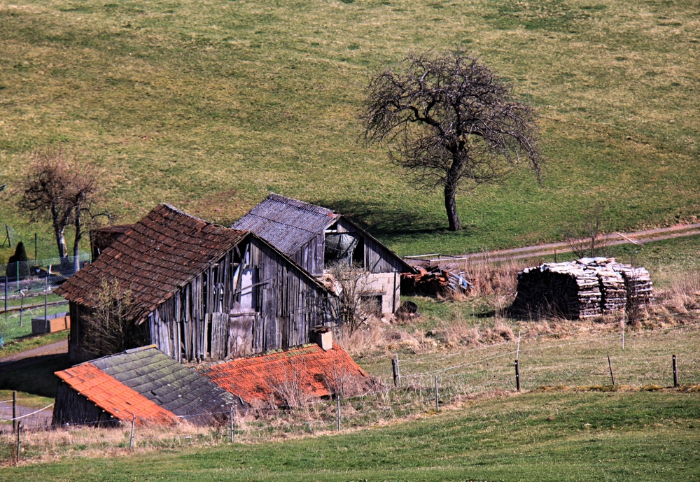 Rhön-Ranch (6)