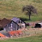 Rhön-Ranch (6)