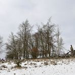 Rhön, Rother Kuppe, Hutebuchen: Altehrwürdige Gestalten 08