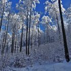 Rhön, Schwarze Berge, Winter