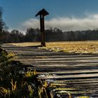 Rhön - Wege im Moor