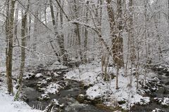 Rhön: Wieder einmal am Oberelsbacher Graben 01