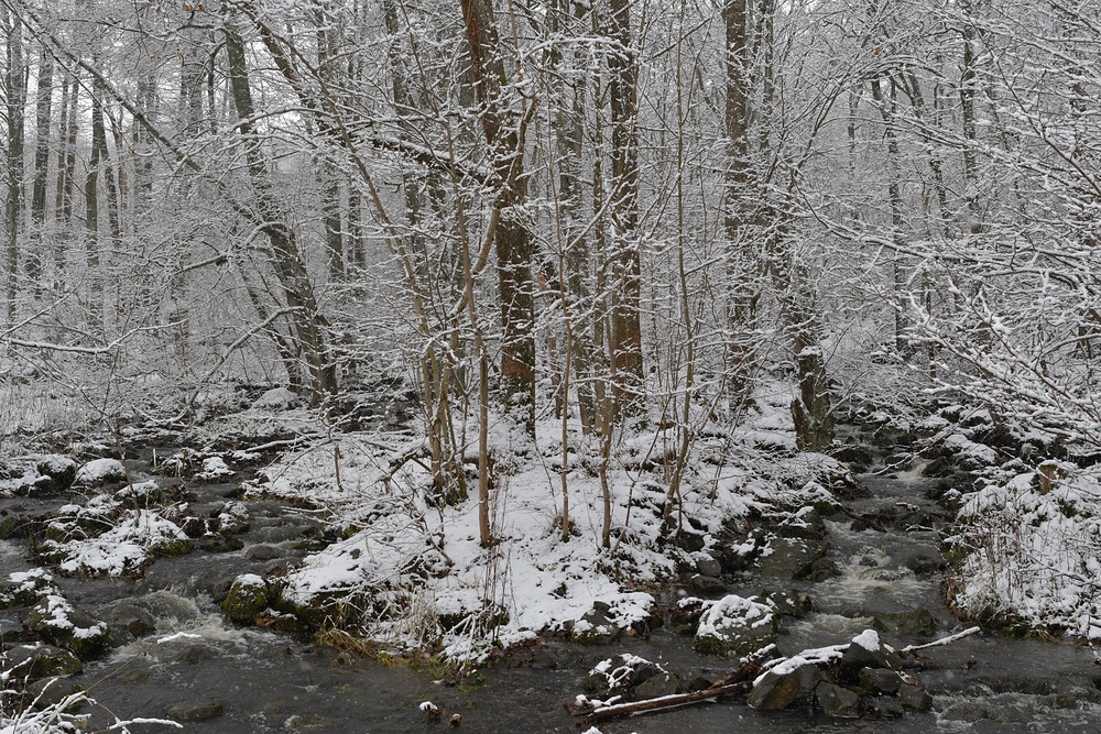 Rhön: Wieder einmal am Oberelsbacher Graben 02