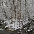 Rhön: Wieder einmal am Oberelsbacher Graben 02