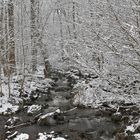 Rhön: Wieder einmal am Oberelsbacher Graben 03