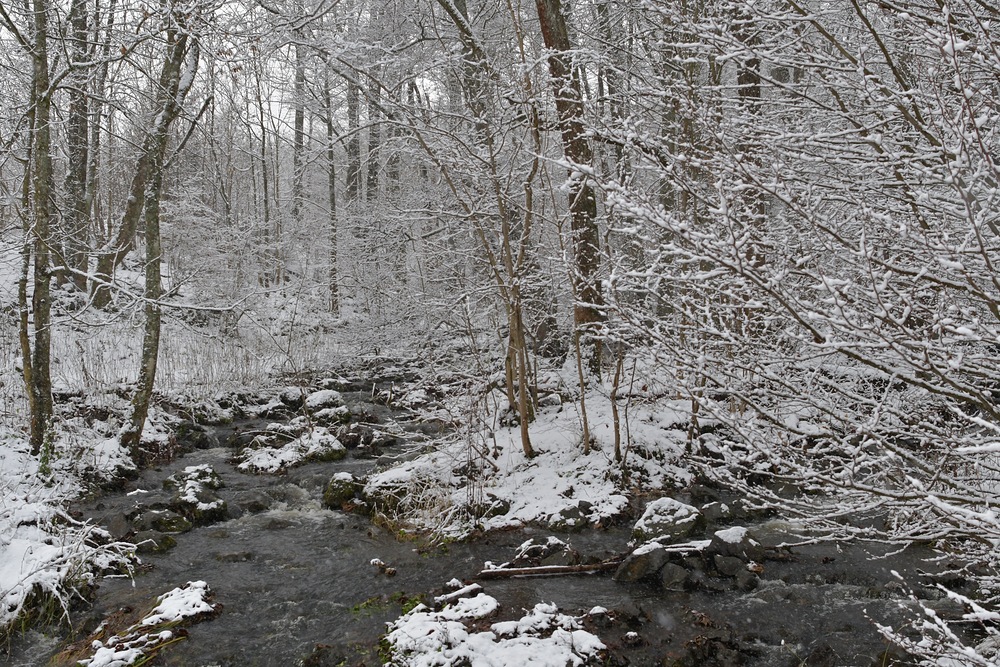 Rhön: Wieder einmal am Oberelsbacher Graben 04