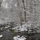 Rhön: Wieder einmal am Oberelsbacher Graben 04