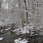 Rhön: Wieder einmal am Oberelsbacher Graben 04