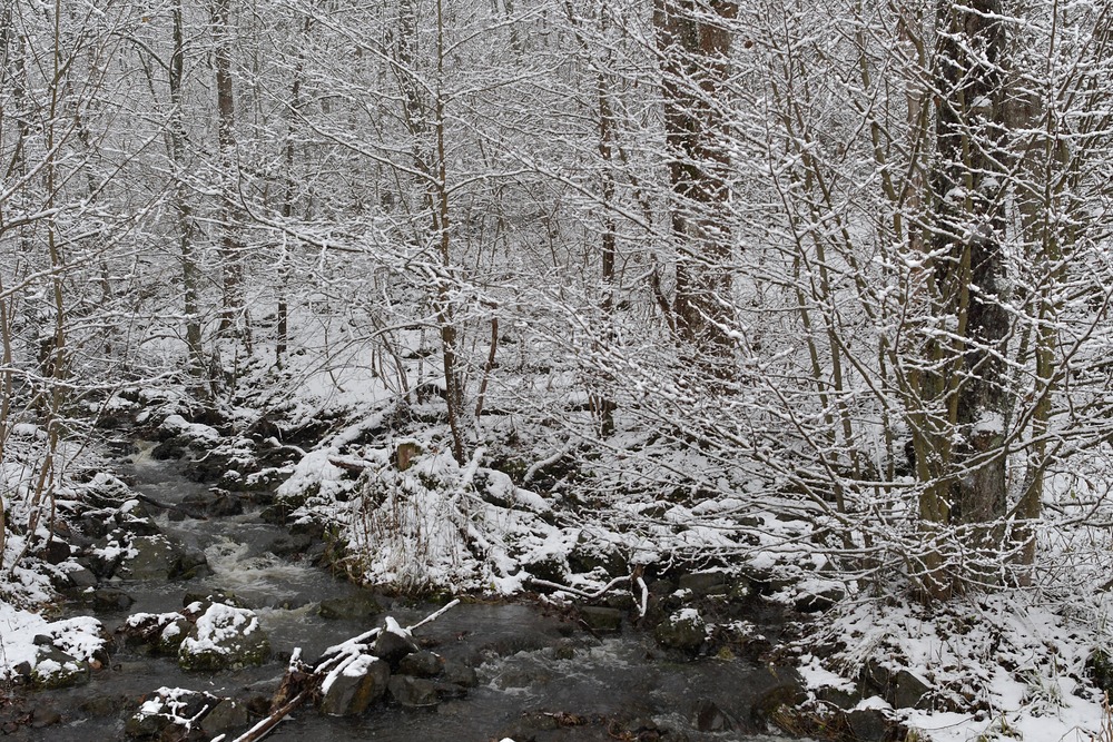 Rhön: Wieder einmal am Oberelsbacher Graben 05