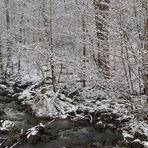 Rhön: Wieder einmal am Oberelsbacher Graben 05