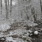 Rhön: Wieder einmal am Oberelsbacher Graben 07