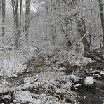 Rhön: Wieder einmal am Oberelsbacher Graben 07