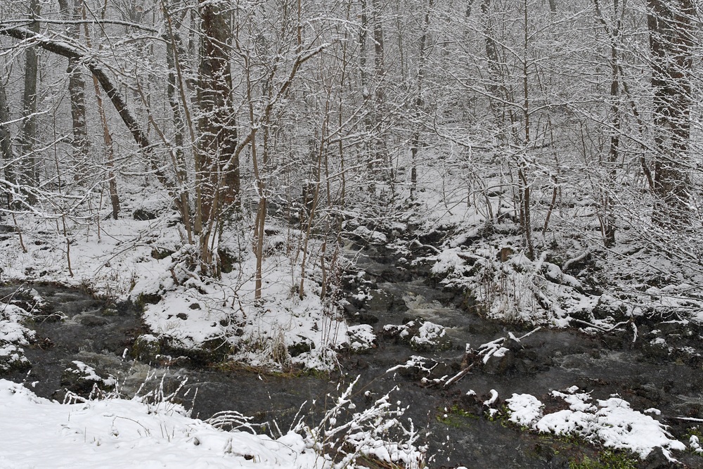 Rhön: Wieder einmal am Oberelsbacher Graben 08