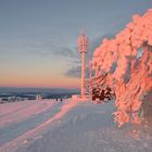 Rhön-Winter