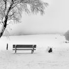 Rhön-Winter