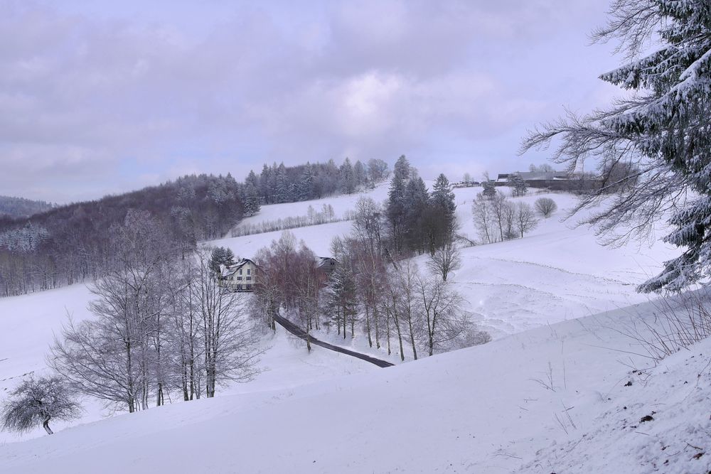 Rhön-Winter