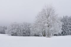 Rhön-Winter