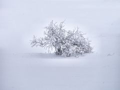 Rhön-Winter