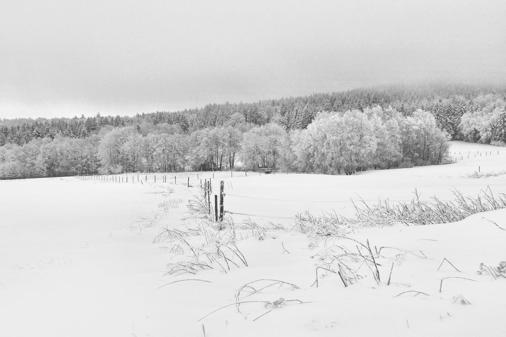 Rhön-Winter