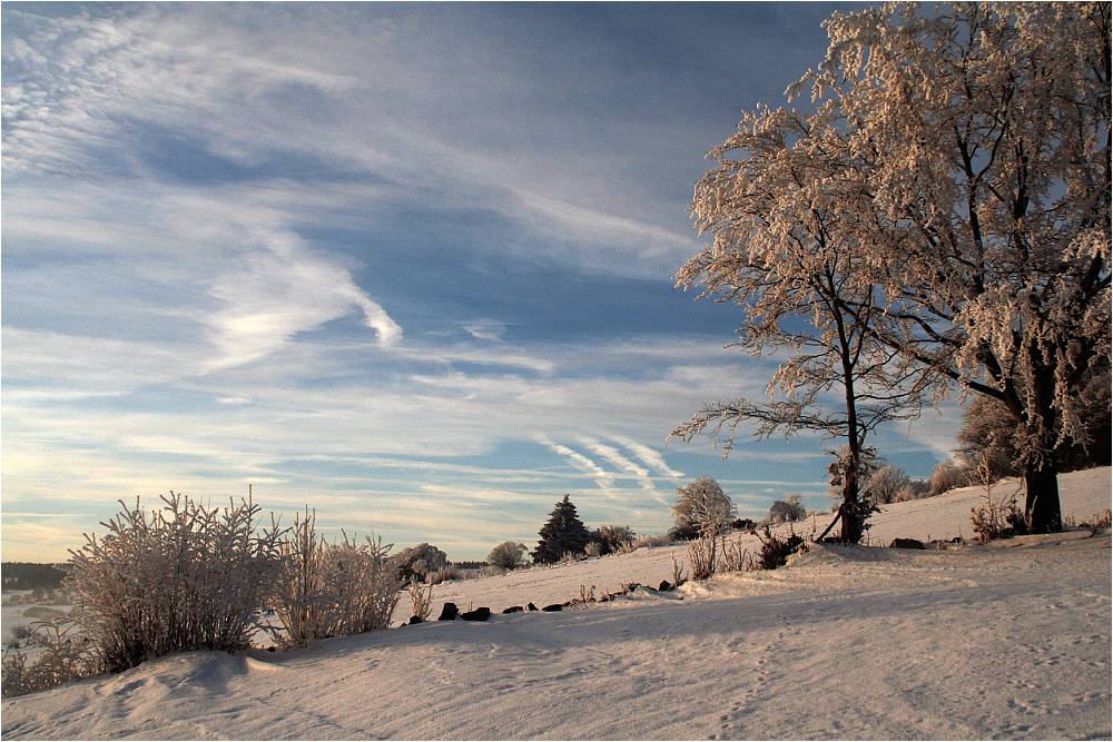 Rhön-Winter #1