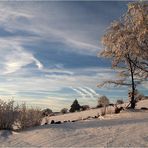 Rhön-Winter #1