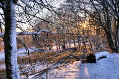 Rhön- Winter