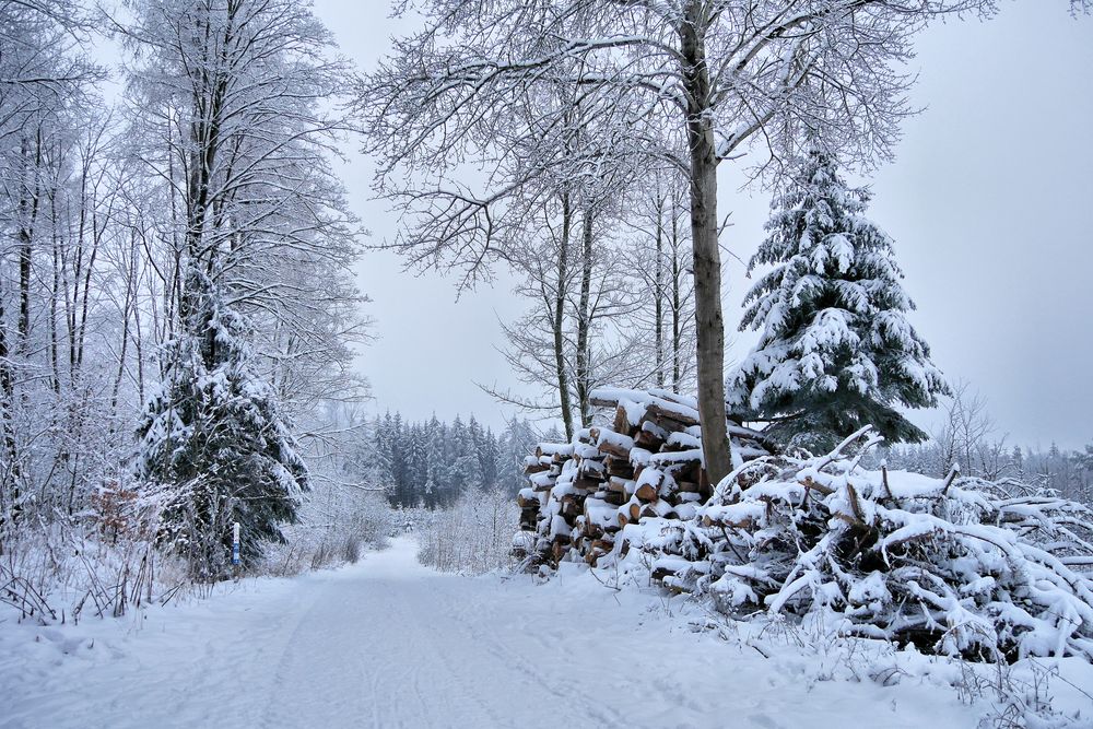 Rhön-Winter