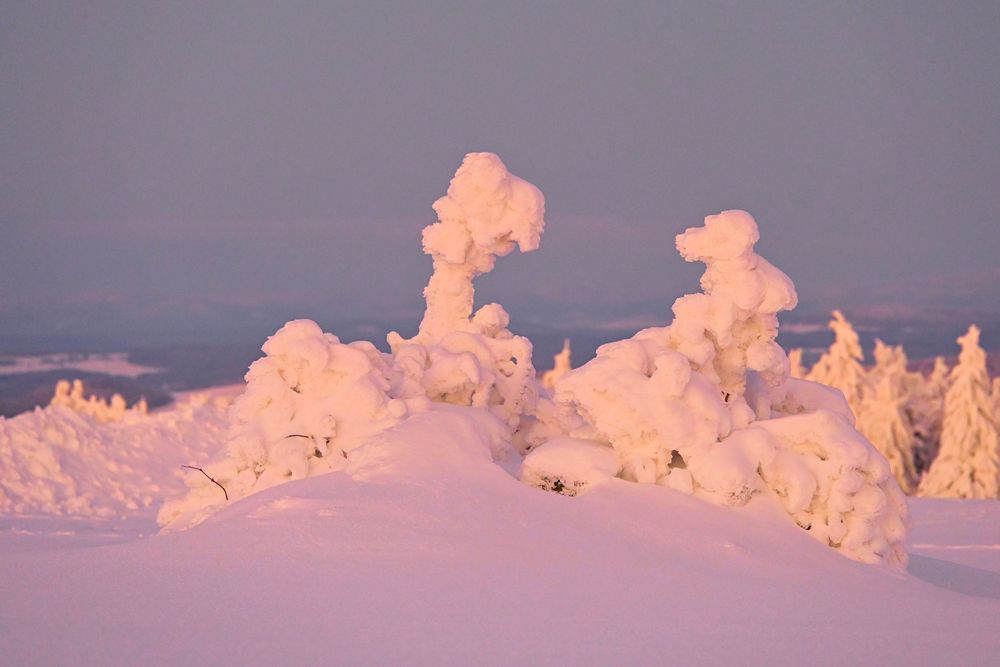 Rhön-Winter