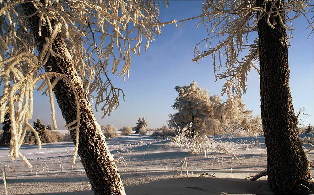 Rhön-Winter #2