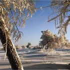 Rhön-Winter #2