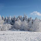 RHÖN -Winter