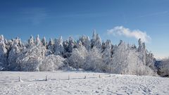 RHÖN -Winter