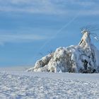 Rhön-Winter