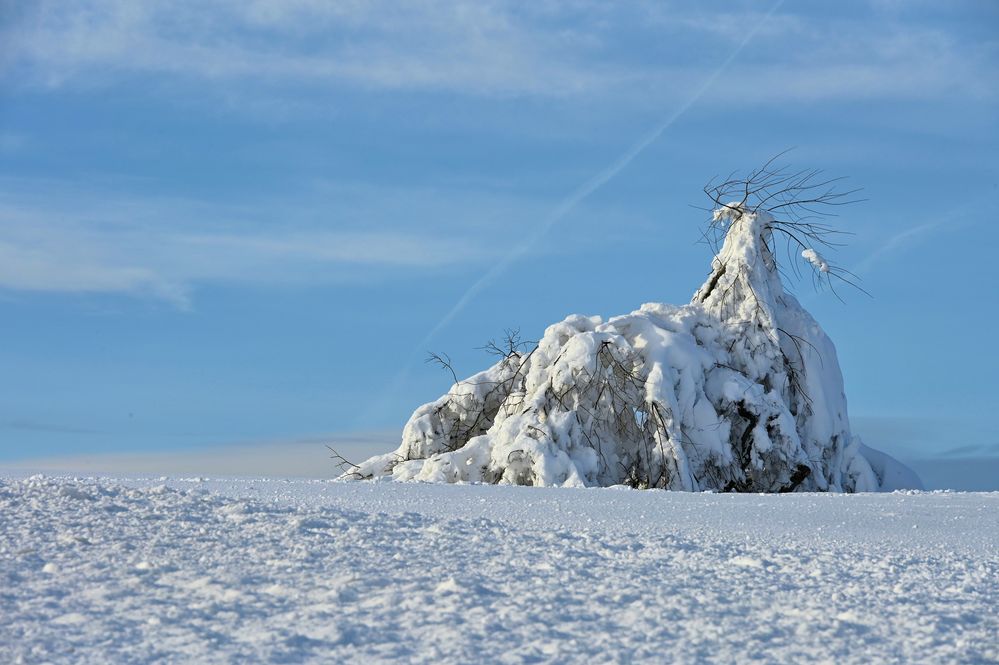 Rhön-Winter