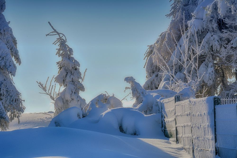 RHÖN -Winter