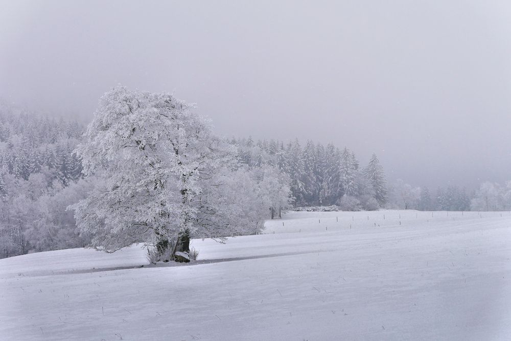 Rhön-Winter