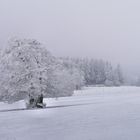 Rhön-Winter