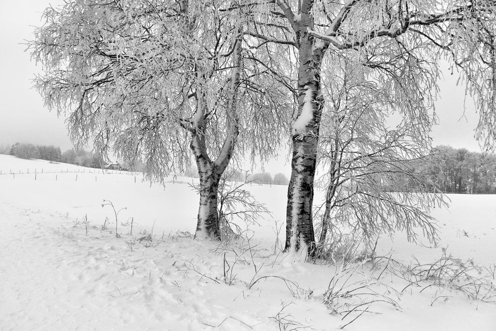 Rhön-Winter