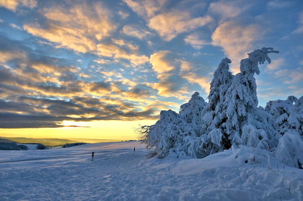 Rhön-Winter