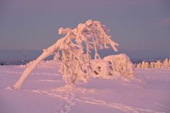 Rhön-Winter