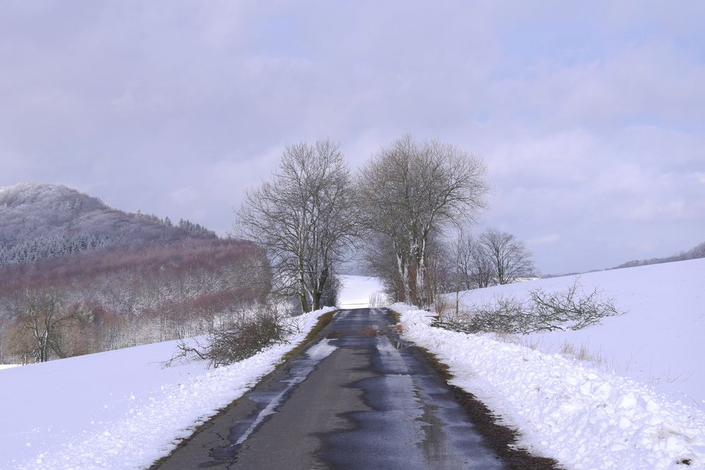 Rhön-Winter