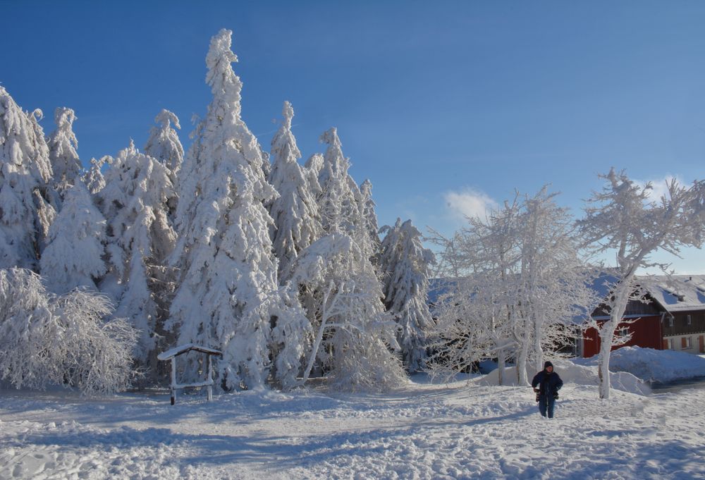 RHÖN -Winter