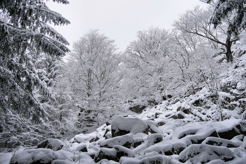 Rhön-Winter