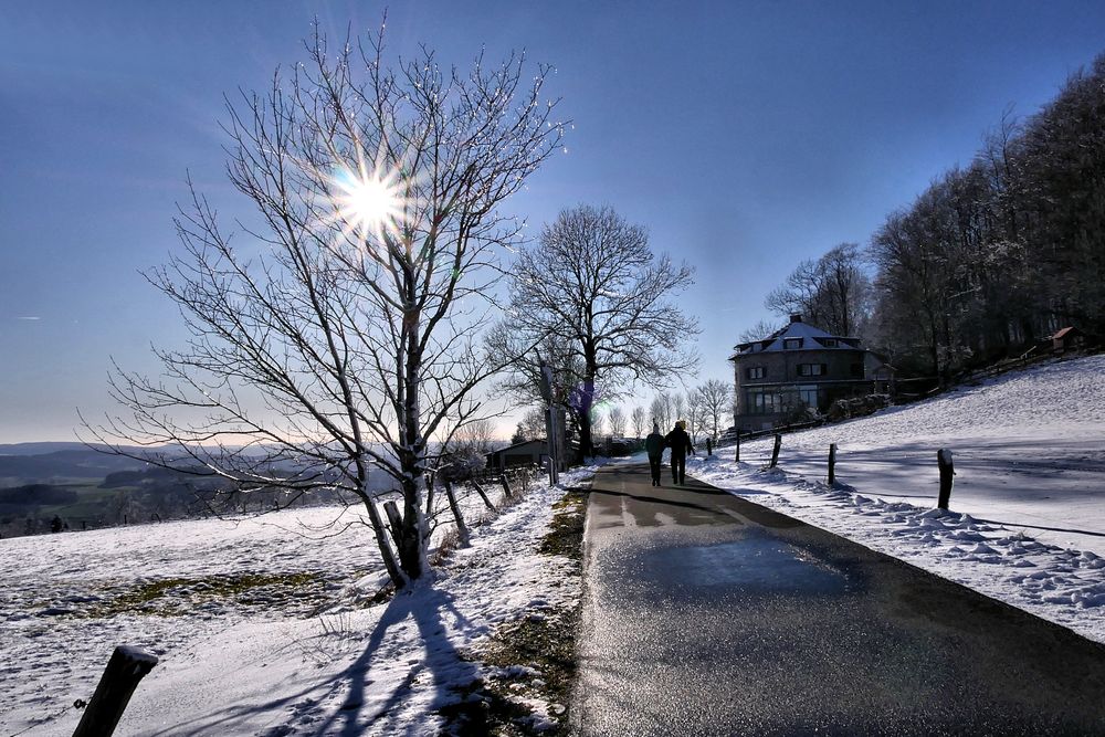 Rhön - Winter